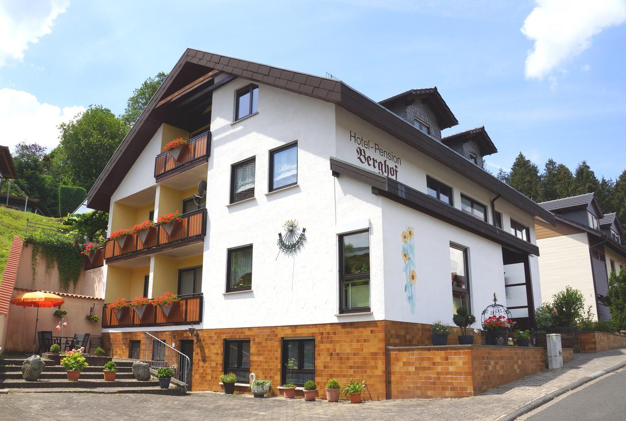 Hotel Garni Berghof Heigenbruecken Экстерьер фото